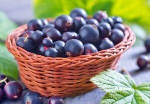 Vitamine del gruppo C
