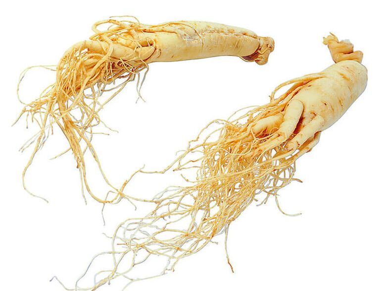 Radice di ginseng per potenza